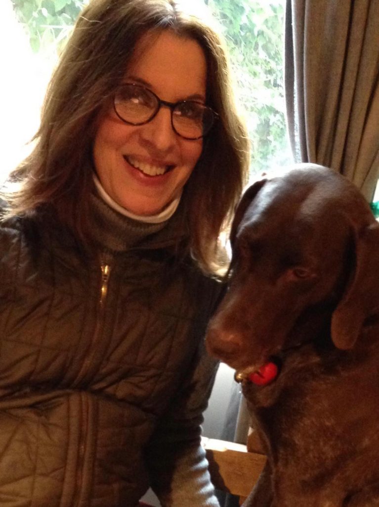 Relaxed dog at home receiving care