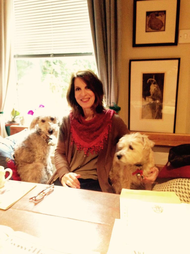 Dog being cared for by House & Hound Suffolk
